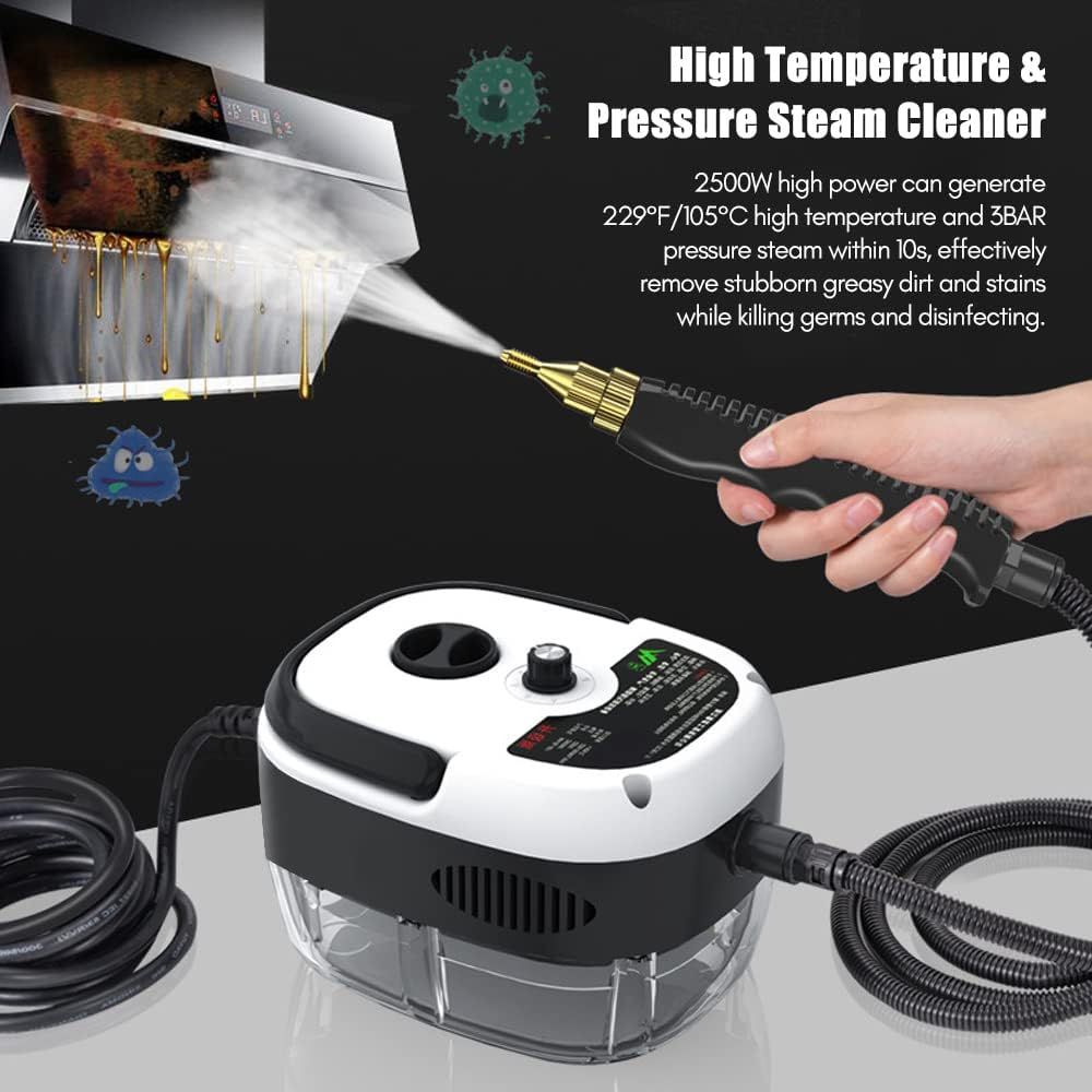 High-Pressure Steam Cleaner