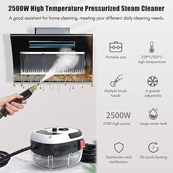 High-Pressure Steam Cleaner